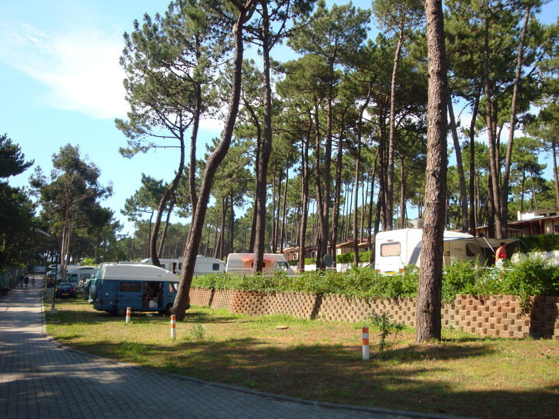 Parque De Campismo Orbitur Viana Do Castelo Hotel Luaran gambar